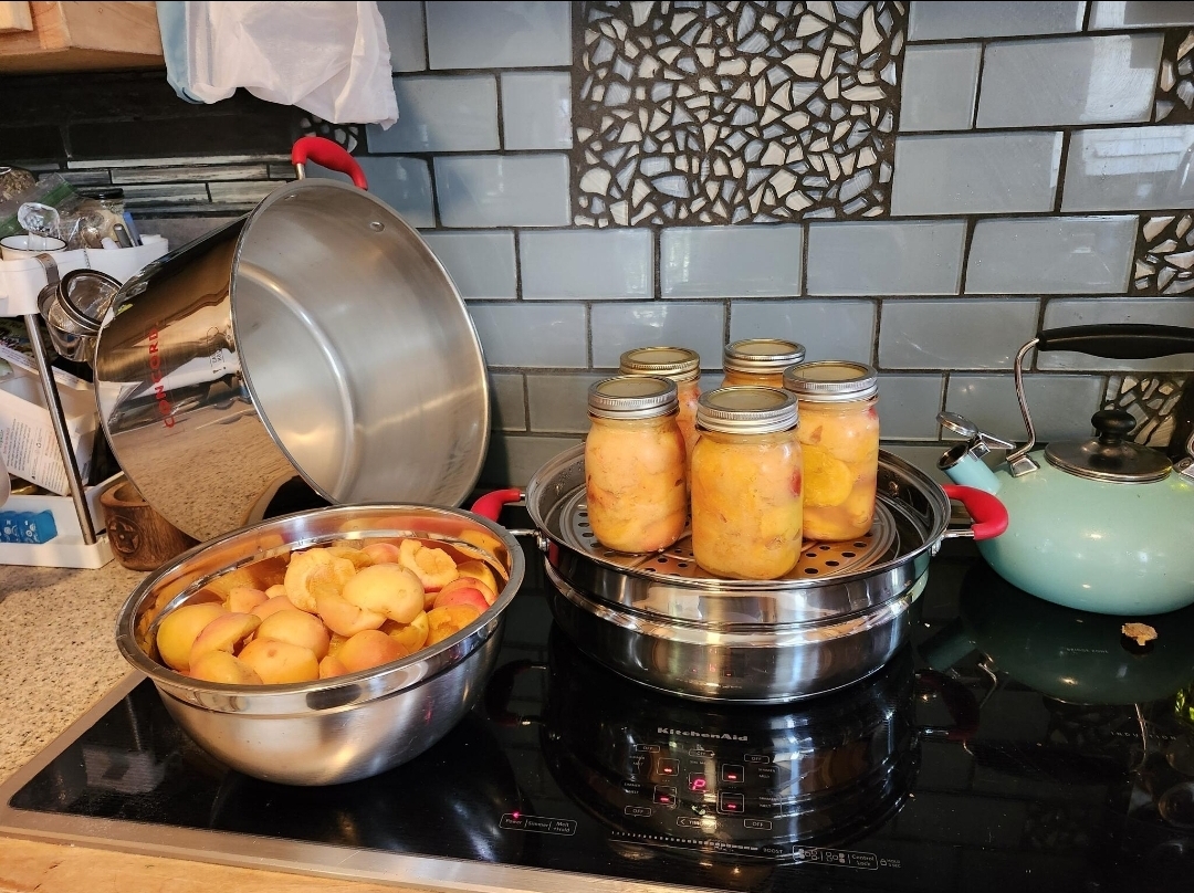 High Acid Steam Canning Demo